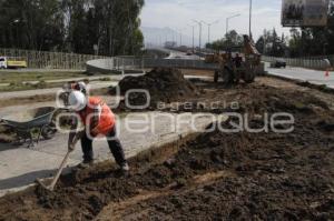 QUITAN ÁREAS VERDES EN ROTONDA IGNACIO ZARAGOZA