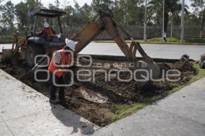 QUITAN ÁREAS VERDES EN ROTONDA IGNACIO ZARAGOZA