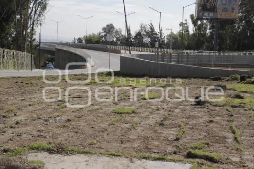 QUITAN ÁREAS VERDES EN ROTONDA IGNACIO ZARAGOZA