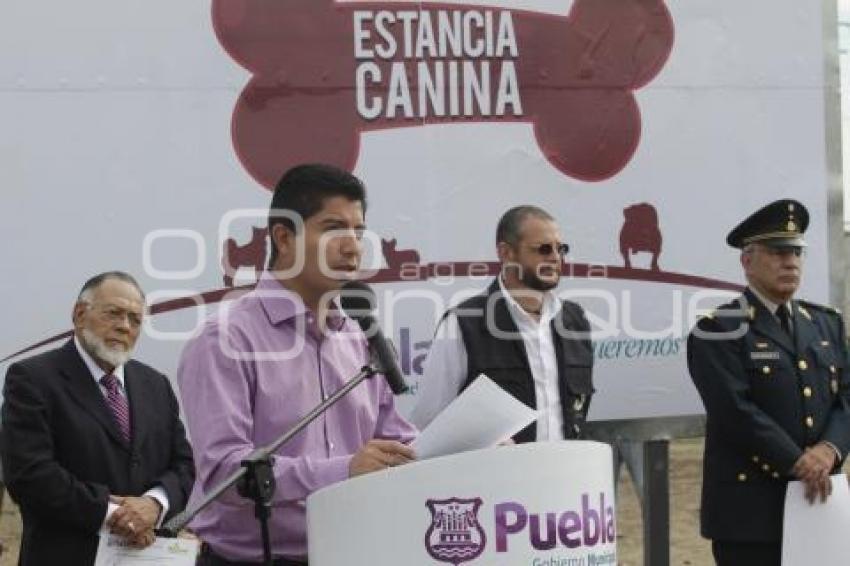 PRIMERA PIEDRA ESTANCIA CANINA