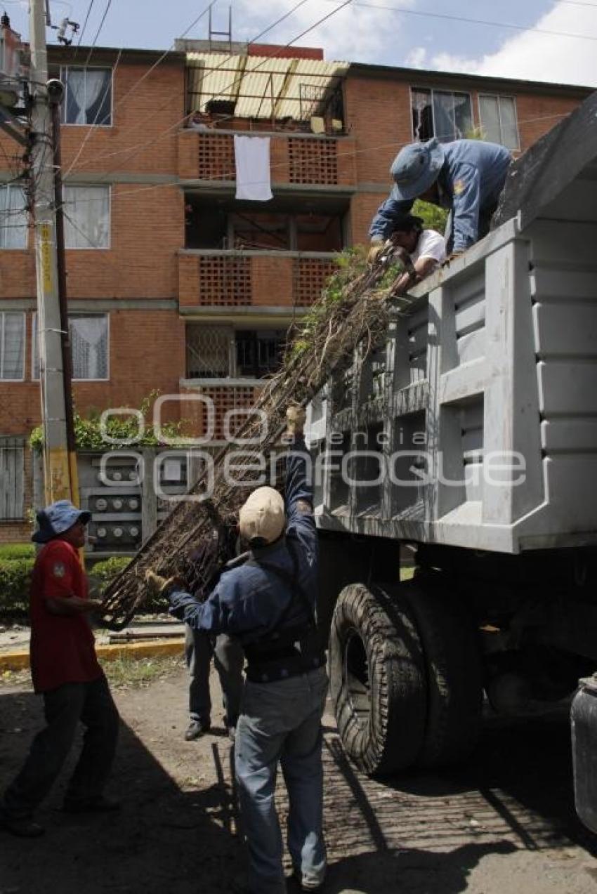 RETIRAN REJAS EN UNIDAD HABITACIONAL