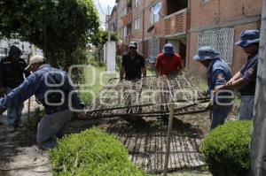 RETIRAN REJAS EN UNIDAD HABITACIONAL