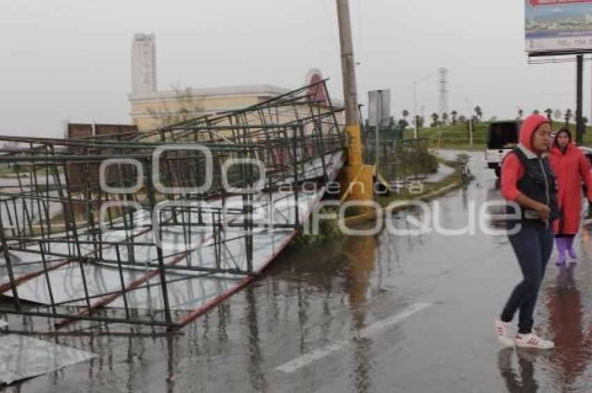 LLUVIAS . BARDA ECOPARQUE