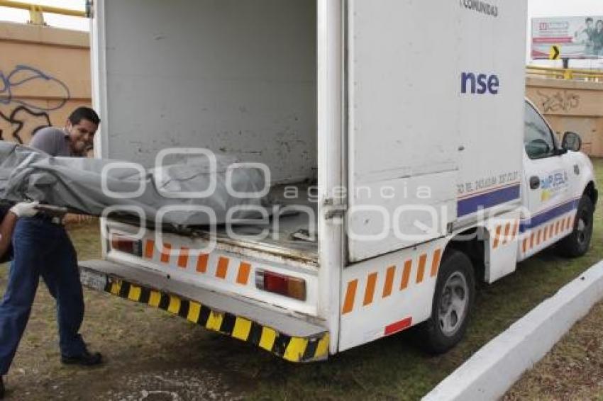 ASESINADO A GOLPES