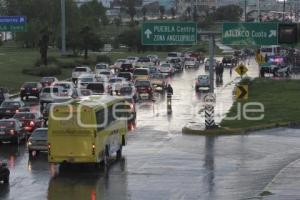 LLUVIAS . BARDA ECOPARQUE