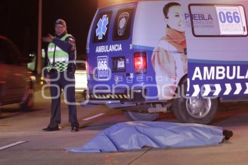 MUERE HOMBRE ATROPELLADO