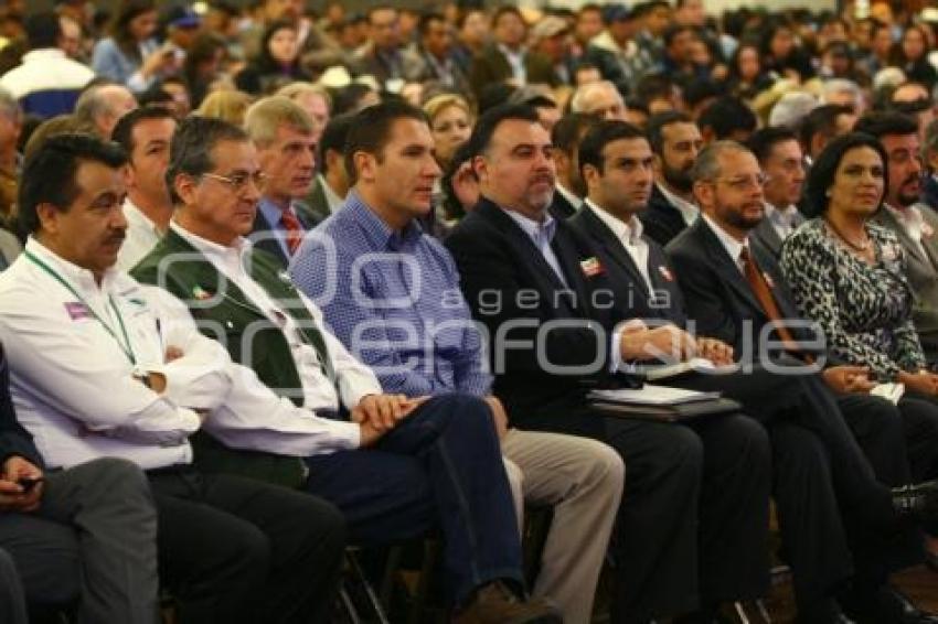 10 EXPO FORESTAL