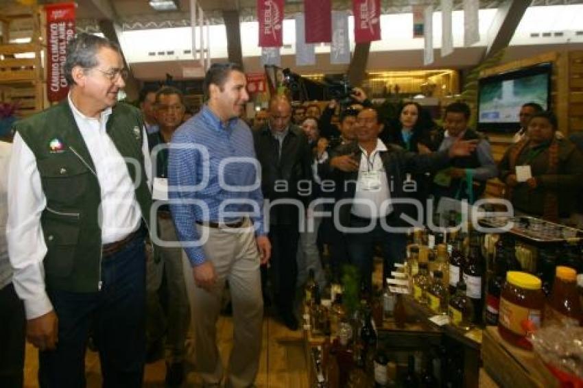 10 EXPO FORESTAL