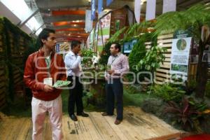 10 EXPO FORESTAL