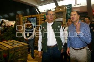 10 EXPO FORESTAL