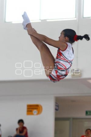 COPA AGEPAC DE GIMNASIA