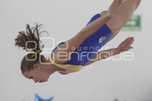 COPA AGEPAC DE GIMNASIA