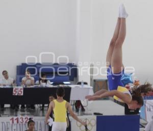 COPA AGEPAC DE GIMNASIA