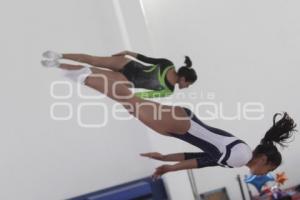COPA AGEPAC DE GIMNASIA