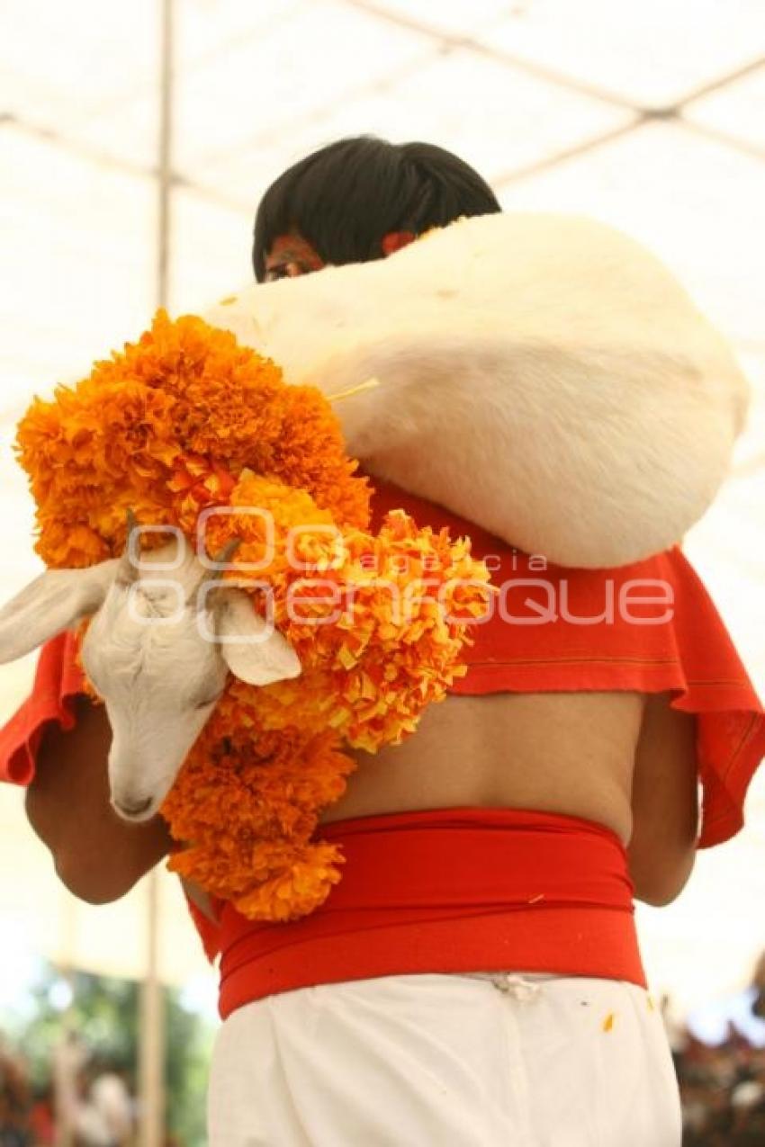 FESTIVAL DE MOLE DE CADERAS