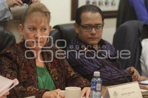 CONGRESO . COMISIÓN ESPECIAL ELECTORAL