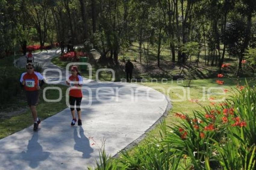 CARRERA DEL CONTADOR