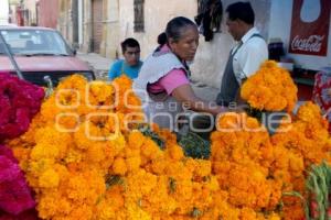 FLOR DE MUERTO