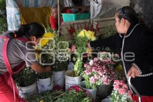 FLOR DE MUERTO