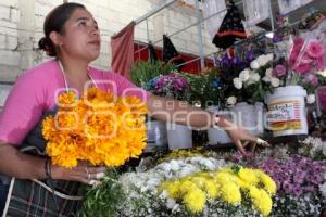 FLOR DE MUERTO