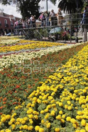 DÍA DE MUERTOS . ALFOMBRA MONUMENTAL