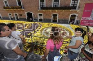 DÍA DE MUERTOS . ALFOMBRA MONUMENTAL