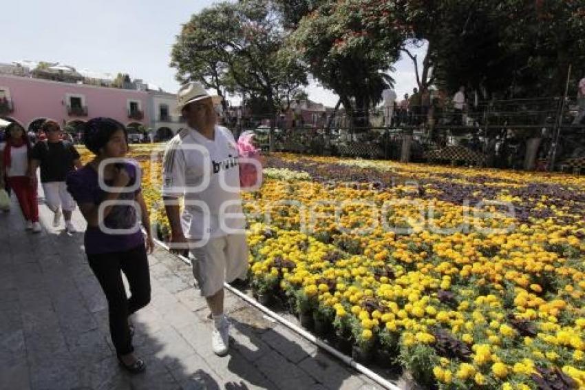 DÍA DE MUERTOS . ALFOMBRA MONUMENTAL