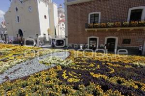 DÍA DE MUERTOS . ALFOMBRA MONUMENTAL