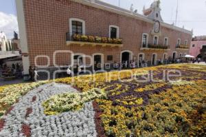 DÍA DE MUERTOS . ALFOMBRA MONUMENTAL