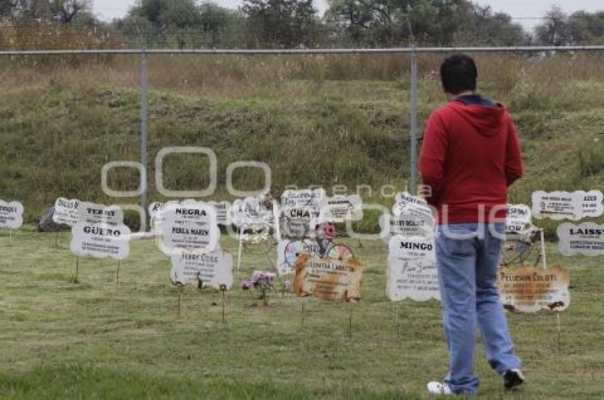 CEMENTERIO PARA MASCOTAS