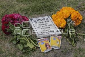 CEMENTERIO PARA MASCOTAS