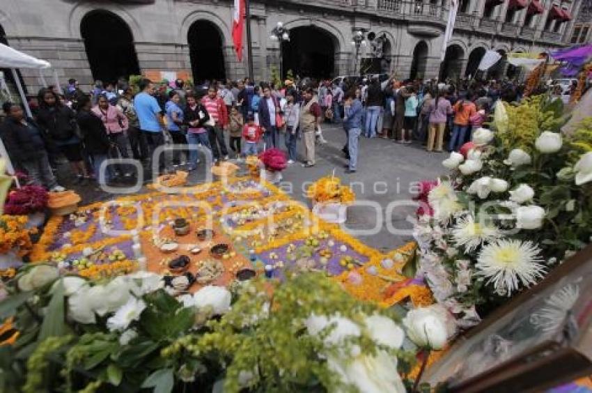 MANIFESTACIÓN . ANTORCHA CAMPESINA