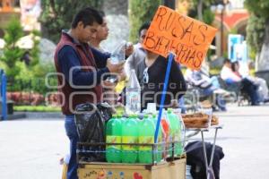 MANIFESTACIÓN ANTORCHA CAMPESINA