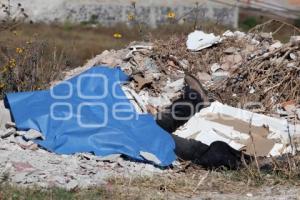 NOTA ROJA . PRESUNTO ASESINADO