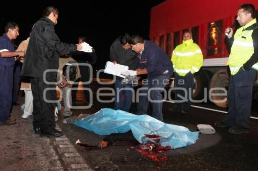 ATROPELLADO EN LA AUTOPISTA