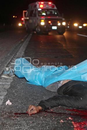 ATROPELLADO EN LA AUTOPISTA