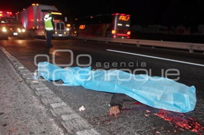 ATROPELLADO EN LA AUTOPISTA