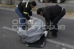 MUERE MUJER ATROPELLADA FEDERAL A TLAXCALA