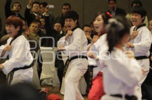 WTF WORLD CHAMPIONSHIP PUEBLA
