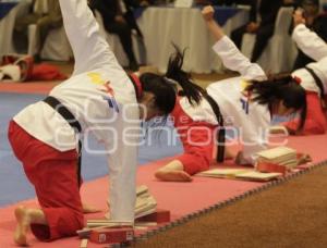 WTF WORLD CHAMPIONSHIP PUEBLA