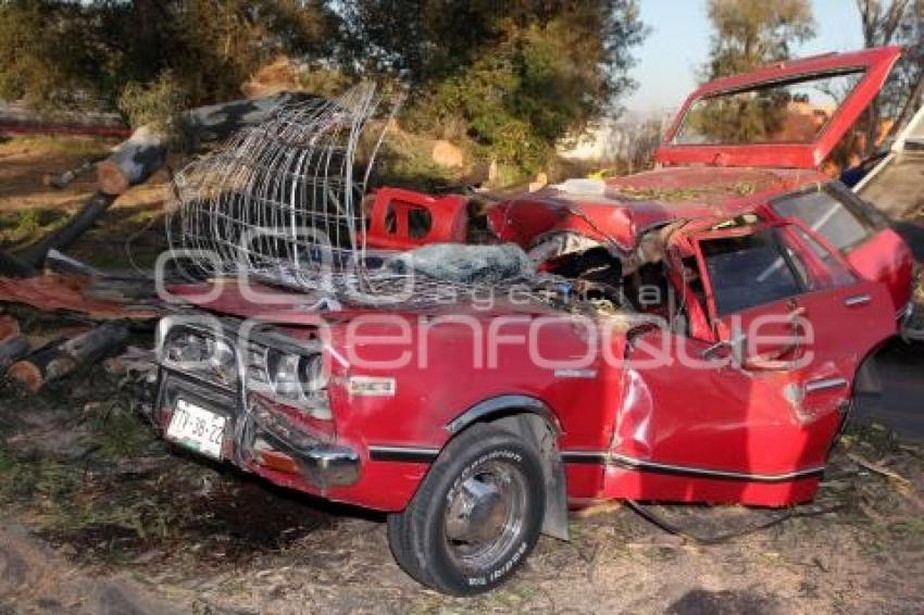 ÁRBOL CAE SOBRE AUTO