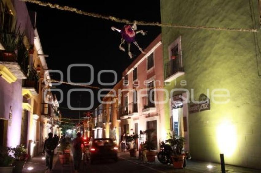 LA NAVIDAD LLEGÓ A LOS SAPOS