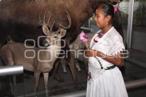 VISITAN NIÑOS INDIGENAS EL MUSEO IMAGINA