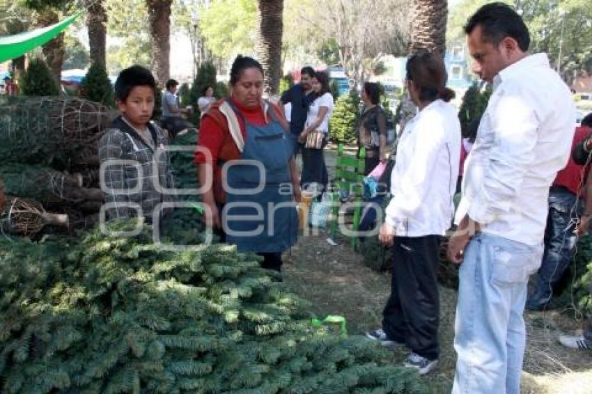 NAVIDAD EN EL TIANGUIS DE ANALCO