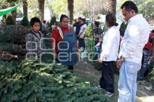 NAVIDAD EN EL TIANGUIS DE ANALCO