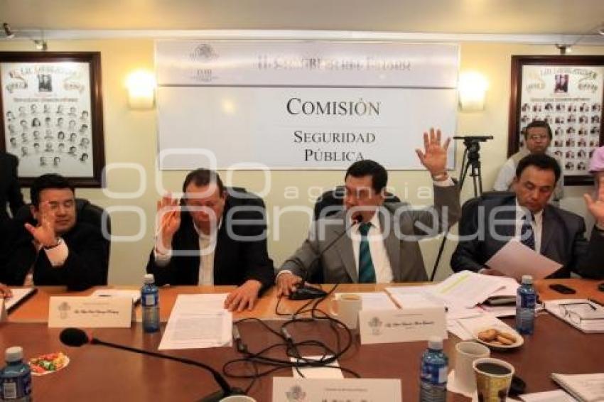 ARDELIO VARGAS . COMISIÓN SEGURIDAD