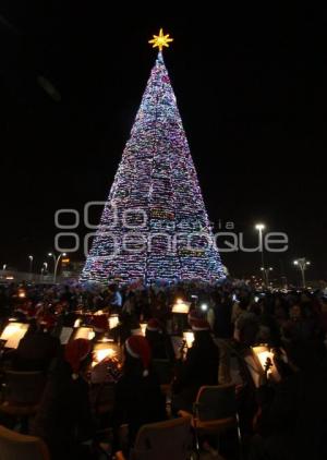 ENCENDIDO ARBOL DE NAVIDAD CCU