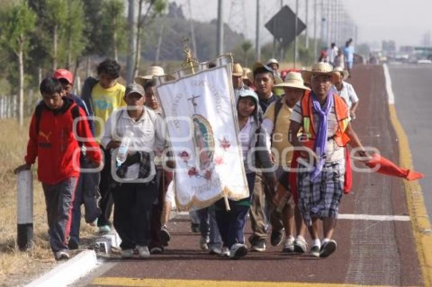 PEREGRINACIONES A LA BASILICA DE GUADALUPE