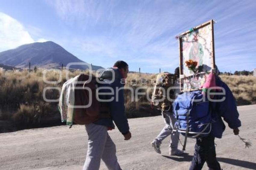 PEREGRINOS AVANZAN HACIA LA BASÍLICA DE GUADALUPE