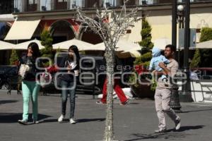 NACIMIENTO EN EL ZÓCALO